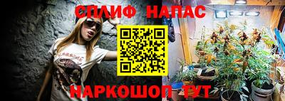 дмт Нальчик
