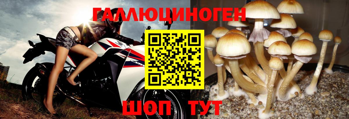 Псилоцибиновые грибы мухоморы  Вход с VPN  Барабинск  Псилоцибиновые грибы мицелий 