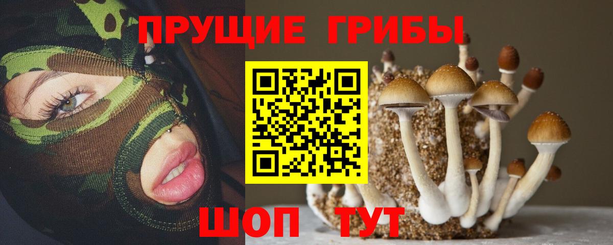 Псилоцибиновые грибы мухоморы Барабинск